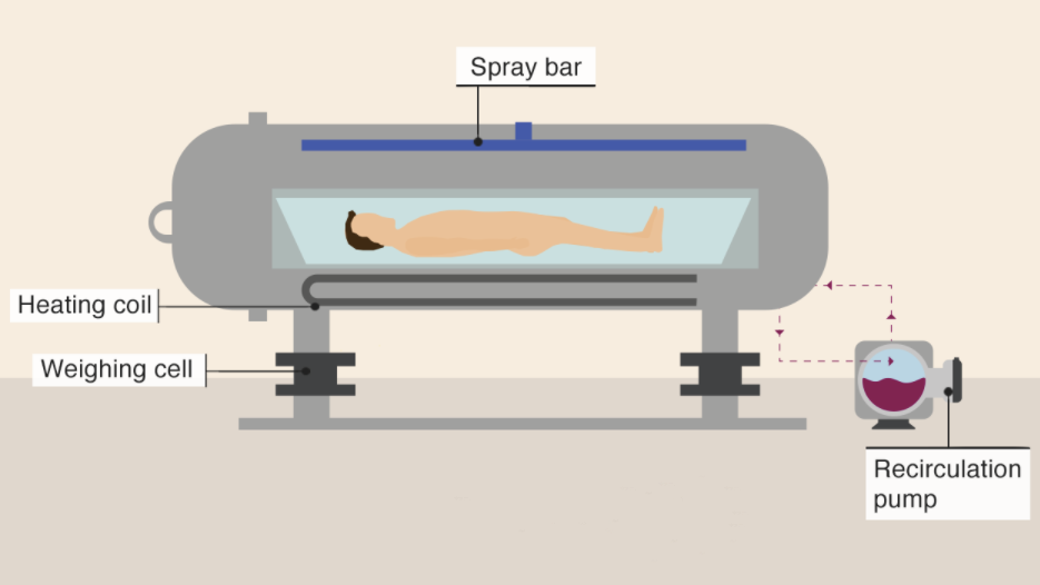 What Is Aquamation? Alkaline Hydrolysis Explained