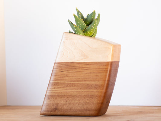 Wooden planter with a succulent on a wooden surface