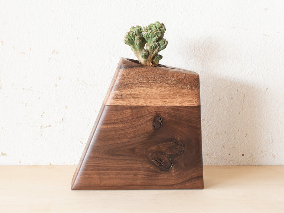 Medium Planturn™ Cremation Urn in Oak & Curly Maple - Boyce Studio | Cremation Urn for ashes | Cremation Urns | Cremation Urn for Adult
