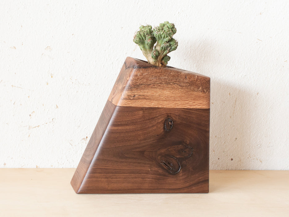 Medium Planturn™ Cremation Urn in Oak & Curly Maple - Boyce Studio | Cremation Urn for ashes | Cremation Urns | Cremation Urn for Adult