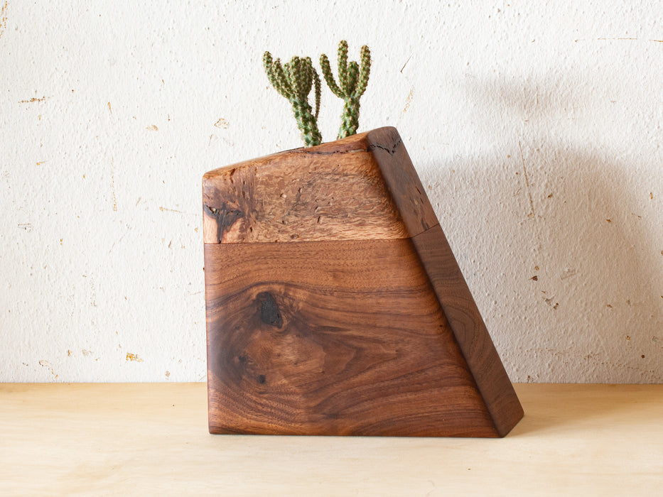 Medium Planturn™ Cremation Urn in Oak & Curly Maple - Boyce Studio | Cremation Urn for ashes | Cremation Urns | Cremation Urn for Adult