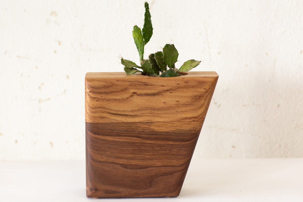 Small Planturn™ Cremation Urn in Walnut & Elm - Boyce Studio | Cremation Urn for ashes | Cremation Urns | Cremation Urn for Adult