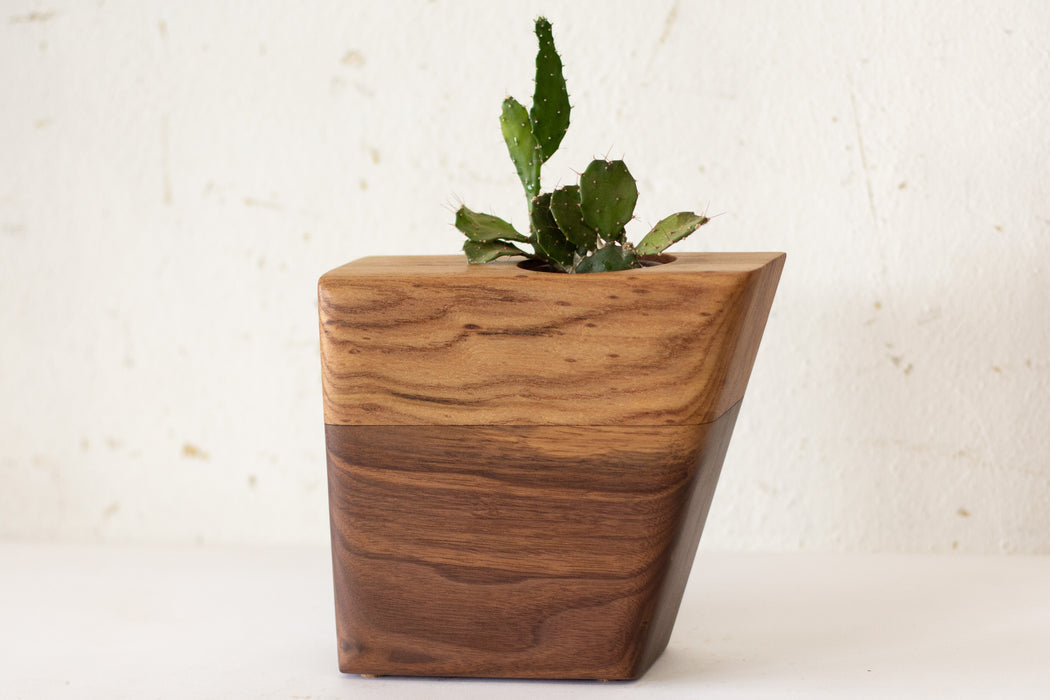 Small Planturn™ Cremation Urn in Walnut & Elm - Boyce Studio | Cremation Urn for ashes | Cremation Urns | Cremation Urn for Adult