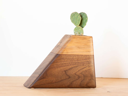 Cremation Urn in Walnut & California Sweetgum | Medium Size with cactus plant on top, modern wooden design