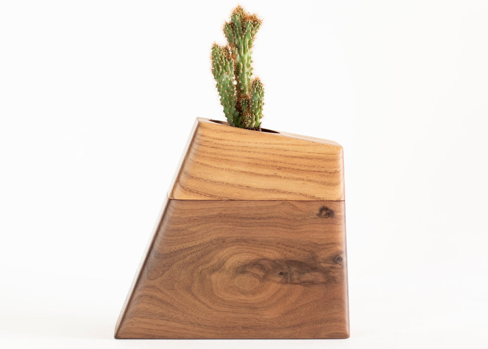 Medium Planturn™ in Walnut & Elm - Boyce Studio | Cremation Urn for ashes | Cremation Urns | Cremation Urn for Adult