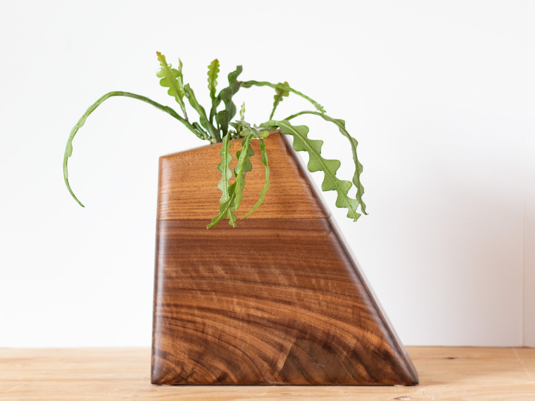 Modern Cremation Urns – Boyce Studio