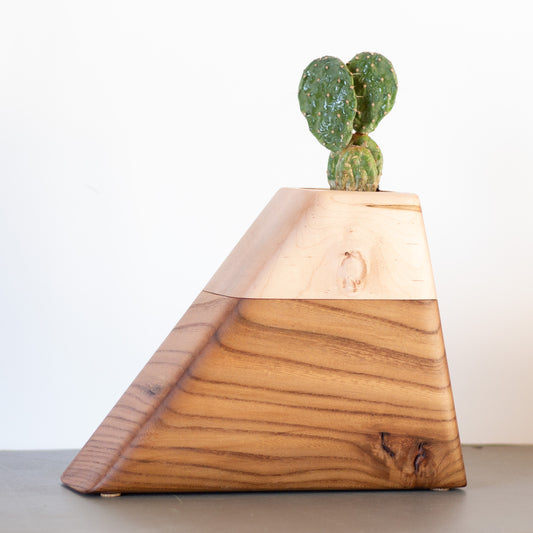 Cremation Urn in California Elm & Maple | Medium Size