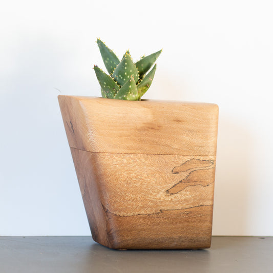 Unique Cremation Urn in Spalted Sycamore | Small Size
