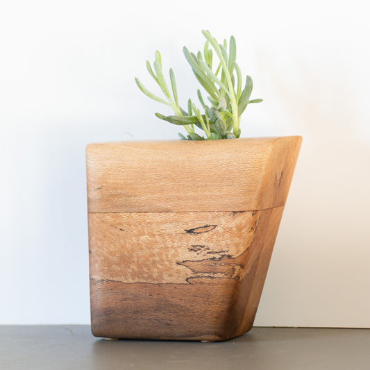 Unique Cremation Urn in Spalted Sycamore | Small Size