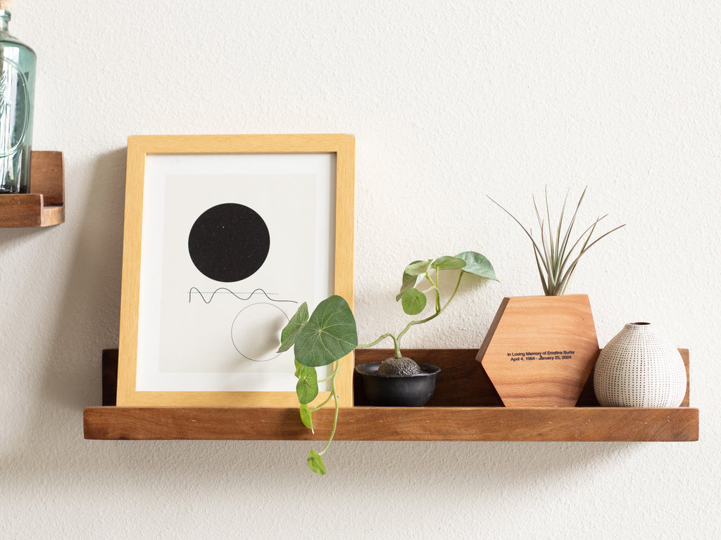 Handmade sympathy gift – personalized wood air plant holder with live Tillandsia on white background"