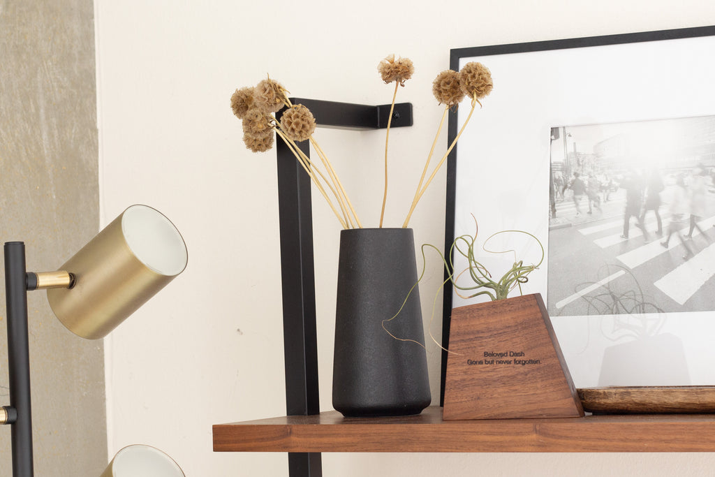 Memorial display featuring handmade wood air plant holder with live Tillandsia – sympathy gift"