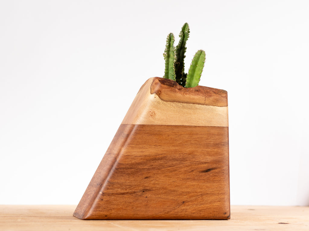 Medium Planturn Cremation Urn in California Alder & Sycamore with a plant on top.