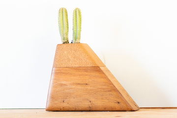 Handmade modern cremation urn crafted from California Alder and Cork, featuring a geometric design with a dedicated space on top for a small plant—offering a living tribute to a loved one’s memory.