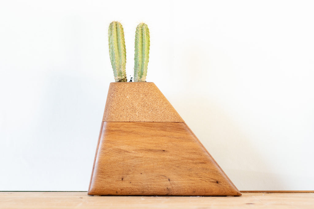 Handmade modern cremation urn crafted from California Alder and Cork, featuring a geometric design with a dedicated space on top for a small plant—offering a living tribute to a loved one’s memory.
