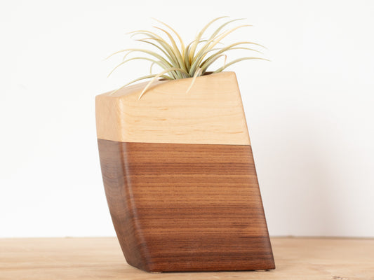 Cremation Urn in California Elm & Maple |Small Size