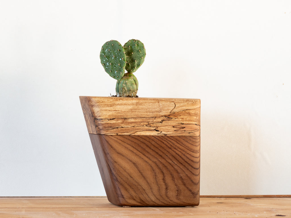 Wooden planter with a cactus on a wooden surface, left view