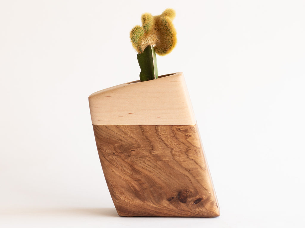 Small Planturn Cremation Urn in Elm & Maple with a succulent, showcasing modern design and heartfelt tribute.