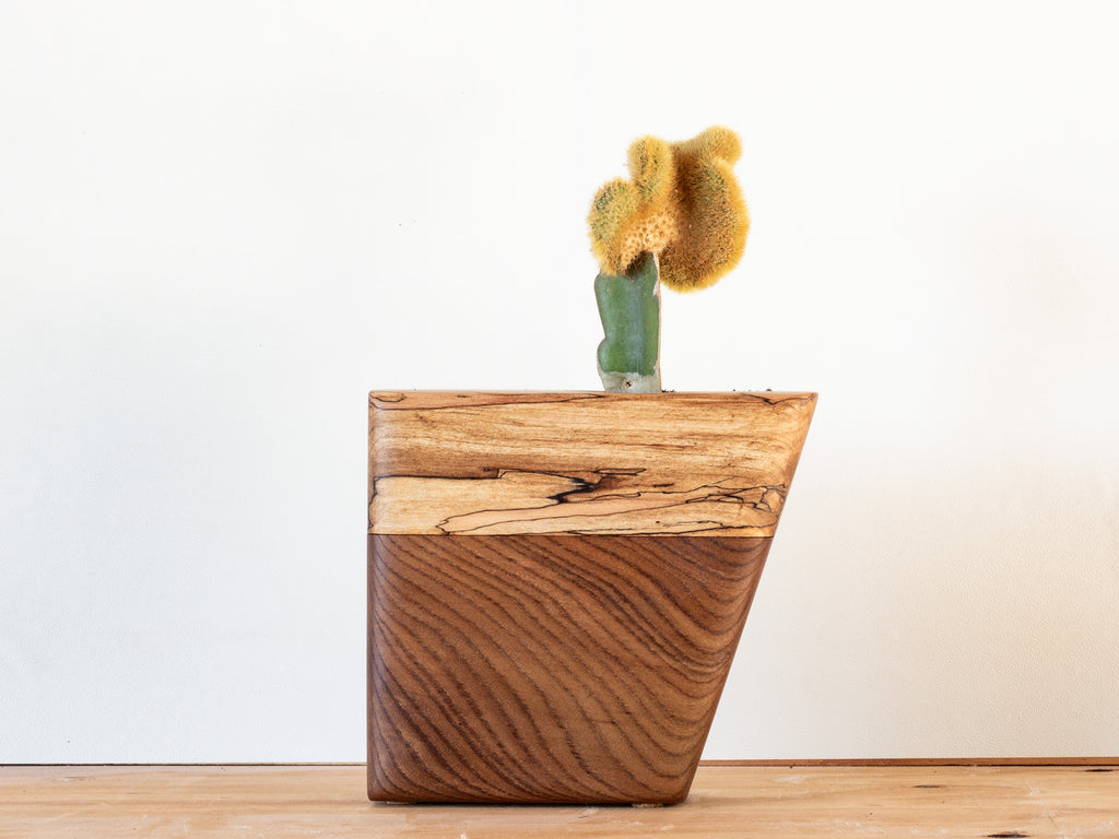 Wooden planter with a cactus on a wooden surface, side view