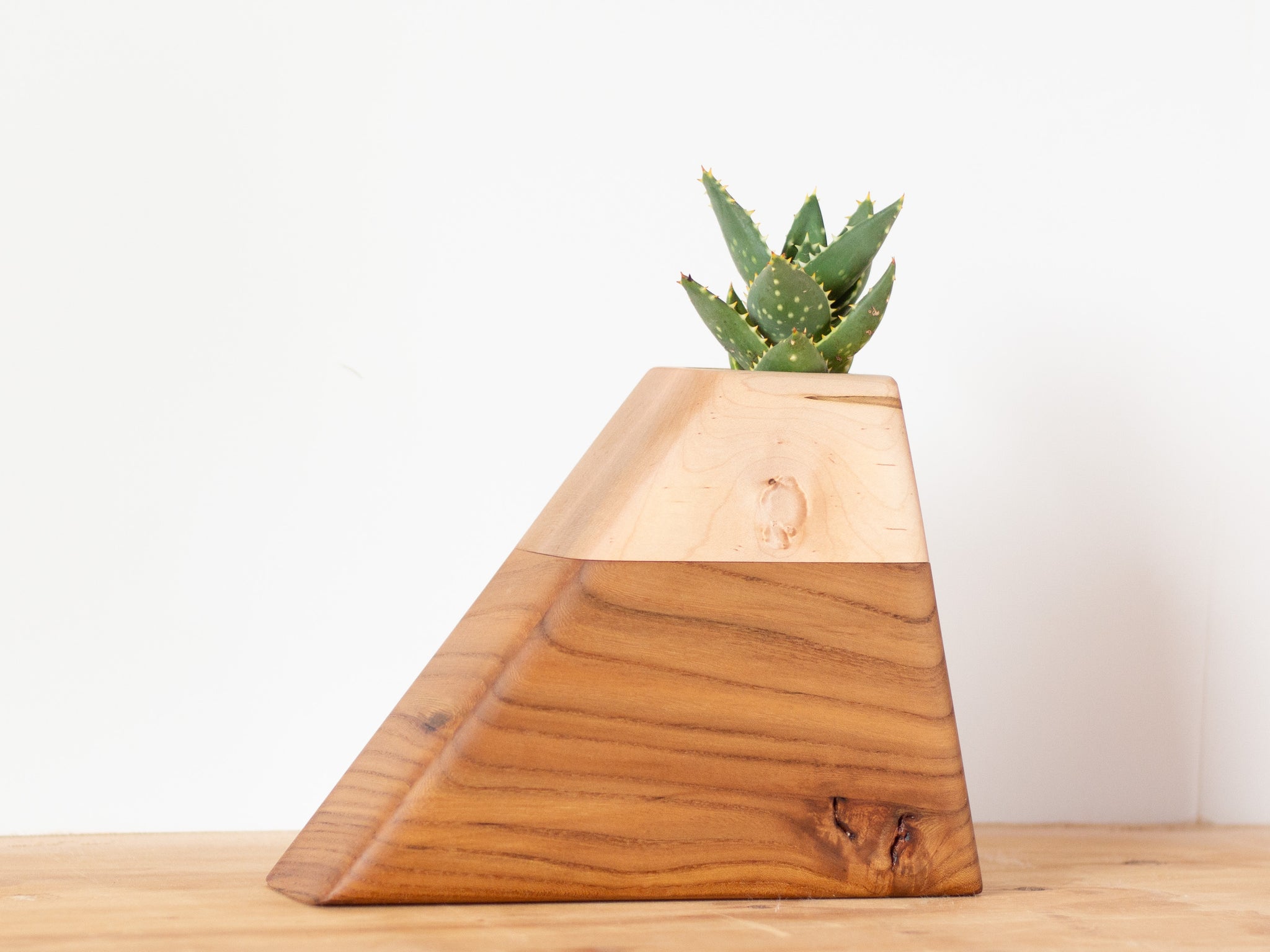 succulent urn Cremation Urn in California Elm & Maple