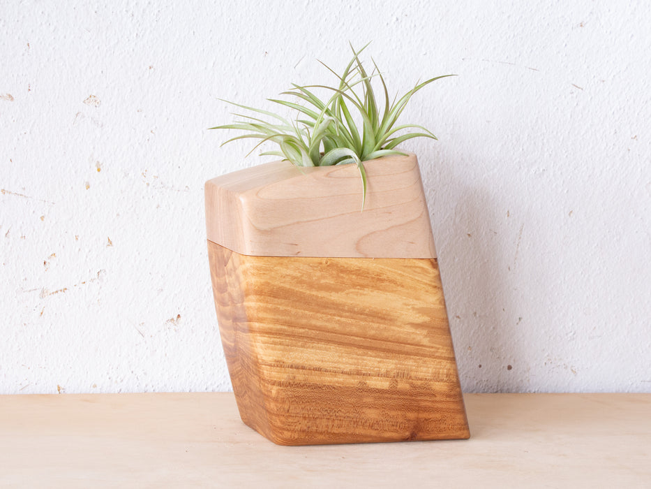 Small Planturn™ Cremation Urn in Elm & Maple - Boyce Studio | Cremation Urn for ashes | Cremation Urns | Cremation Urn for Adult