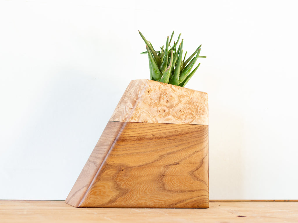 Modern cremation urn crafted from warm Elm and striking Birdseye Maple, showcasing a sculptural geometric design. The top surface features a recessed space for a live plant, creating a living tribute. This large Planturn™ blends the smooth, honey-toned grain of Elm with the shimmering, patterned texture of Birdseye Maple—offering an elegant and enduring memorial.