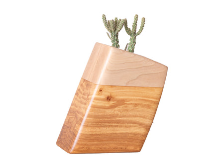 Small Planturn™ Cremation Urn in Elm & Maple - Boyce Studio | Cremation Urn for ashes | Cremation Urns | Cremation Urn for Adult