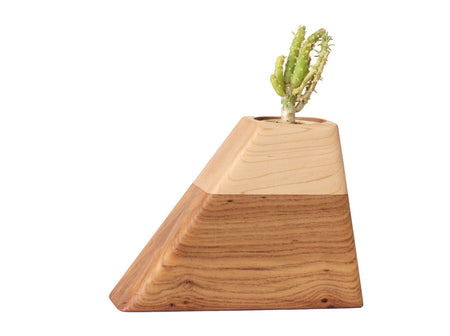 Small Planturn Cremation Urn in Elm & Maple - Boyce Studio | Cremation Urn for ashes | Cremation Urns | Cremation Urn for Adult