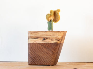 Wooden planter with a cactus on a wooden surface