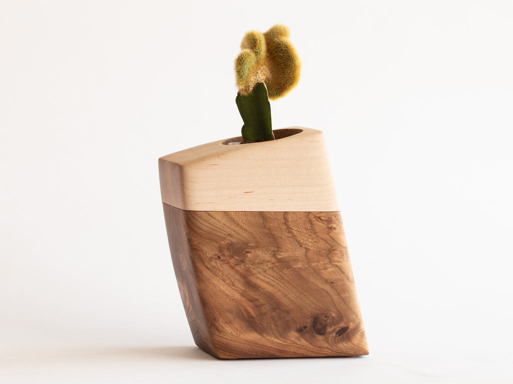 Small Planturn Cremation Urn in Elm & Maple with a succulent plant, showcasing its modern and minimalist design.