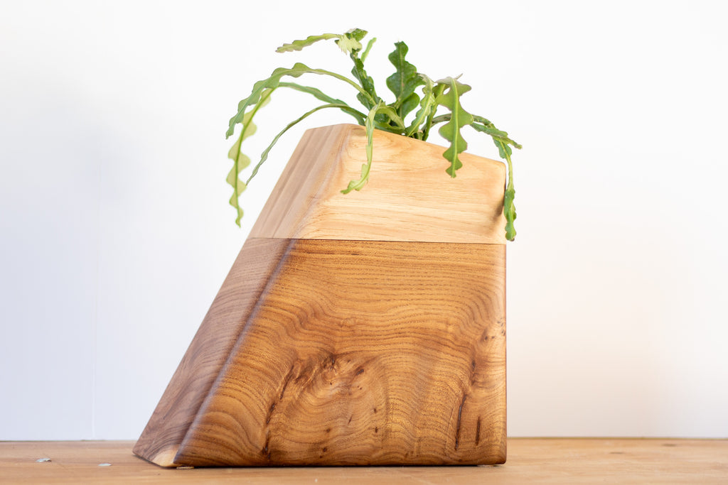 Large Planturn cremation urn in Elm & Hickory, designed to honor a life lived with natural warmth.