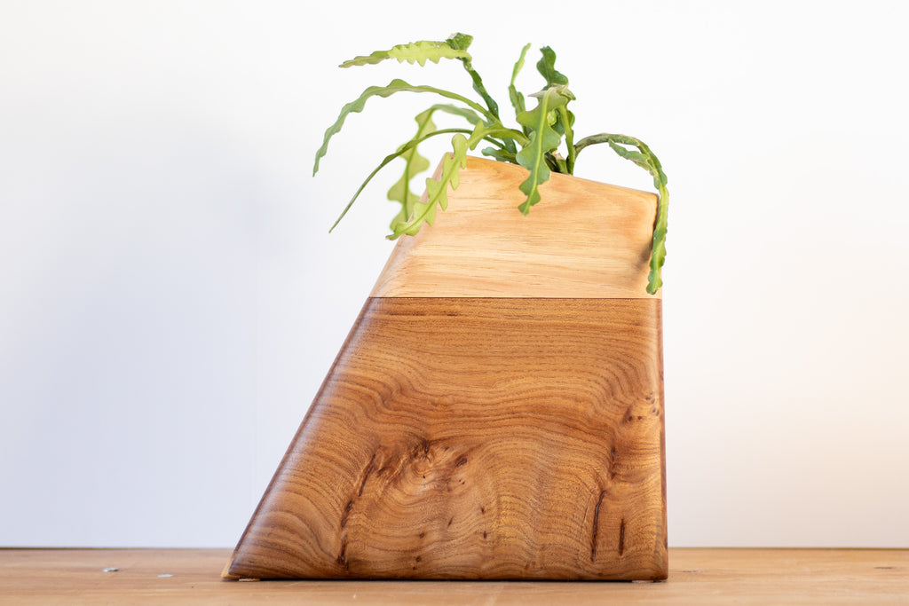 Large Planturn cremation urn crafted from Elm & Hickory with fern plant, designed to honor a life lived.