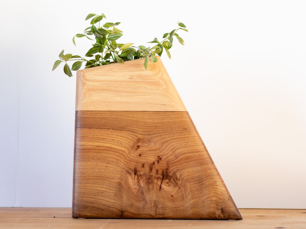 Large Planturn cremation urn made of Elm and Hickory with potted plant on a wooden table.