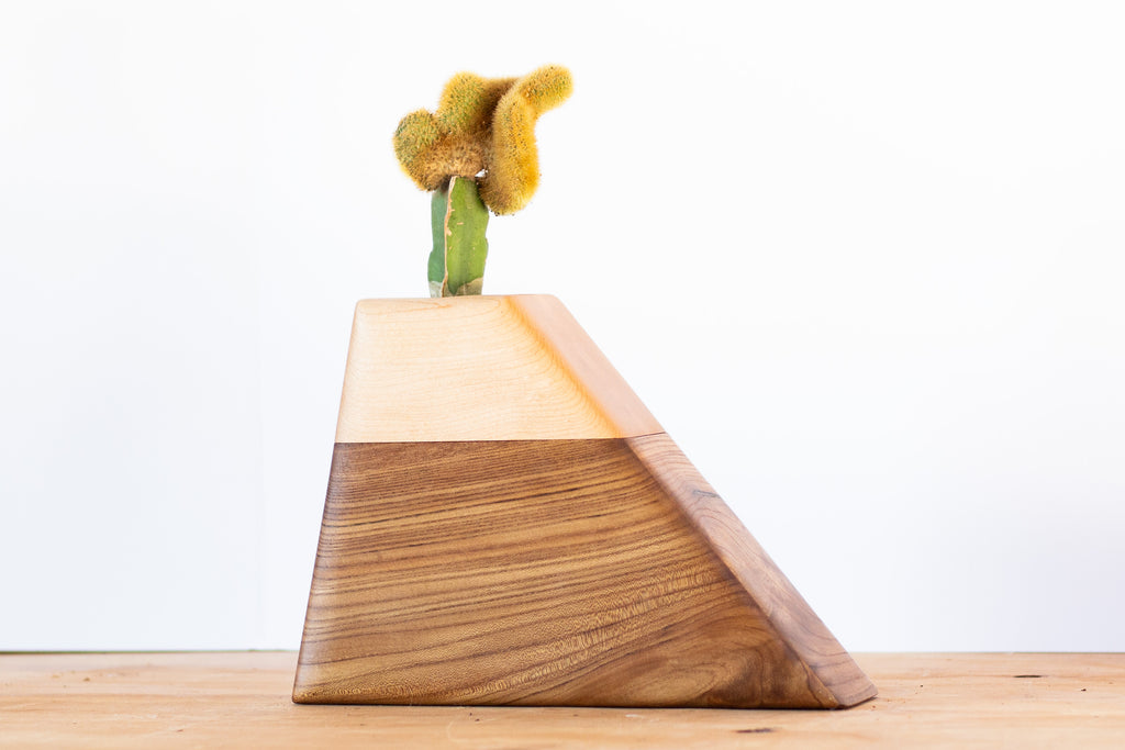 Medium Planturn Cremation Urn in California Elm & Maple holding a plant to honor a beloved pet.