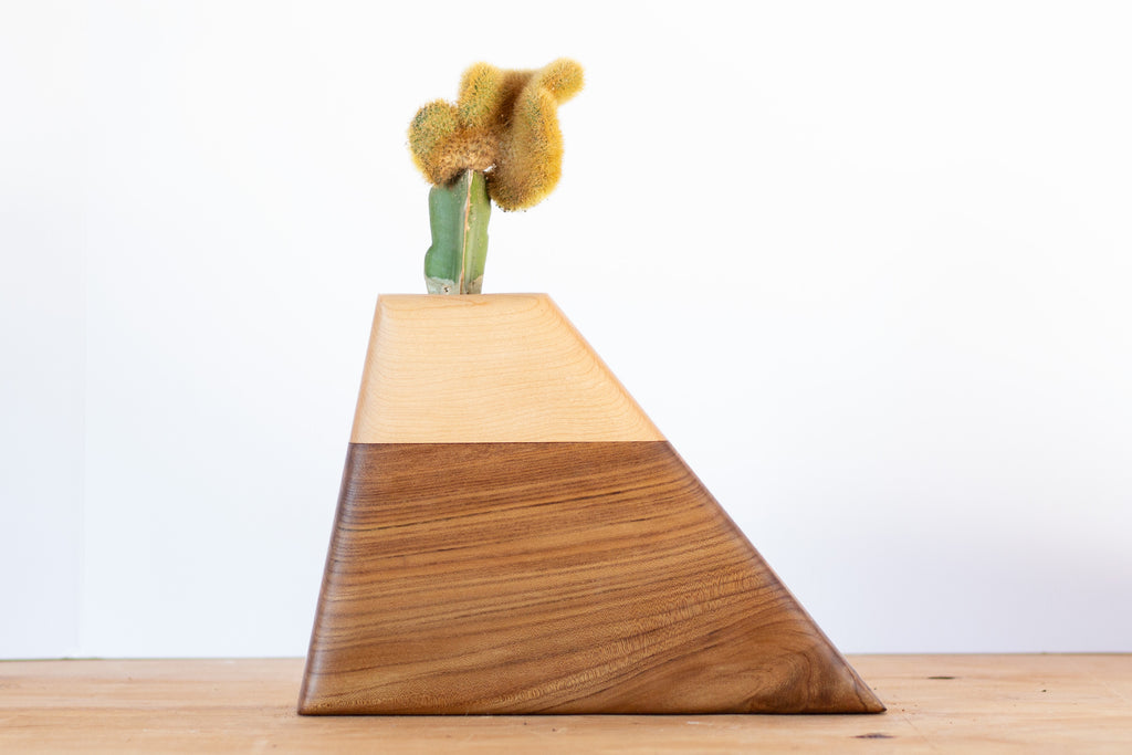 Medium Planturn Cremation Urn in California Elm & Maple displayed with a potted plant on top.