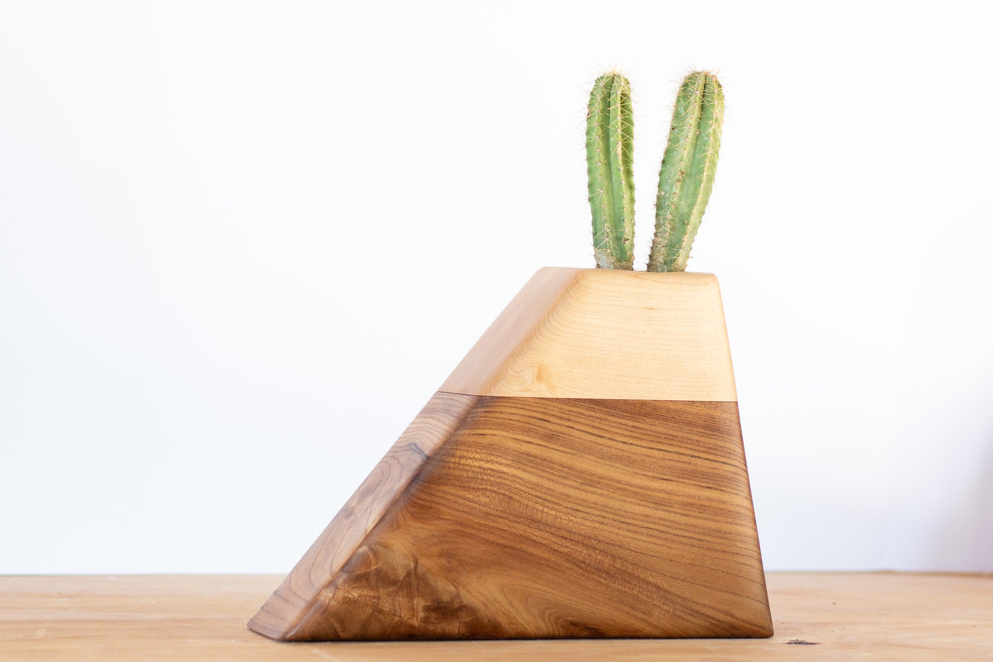 cremation plant pot Cremation Urn in California Elm & Maple