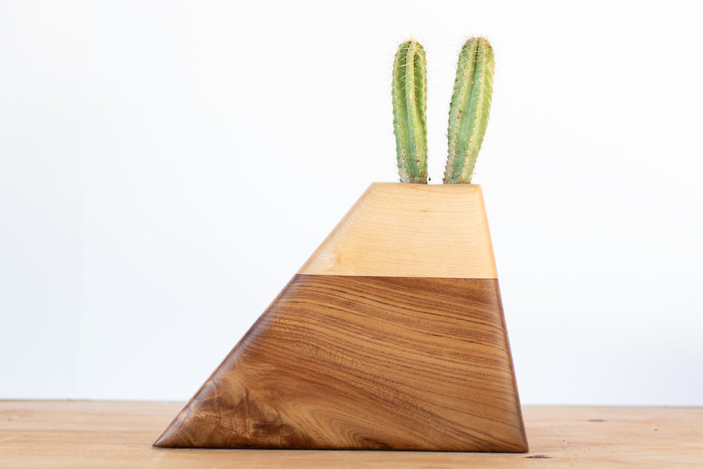 Medium Planturn Cremation Urn in California Elm & Maple with place for plant and cremains.