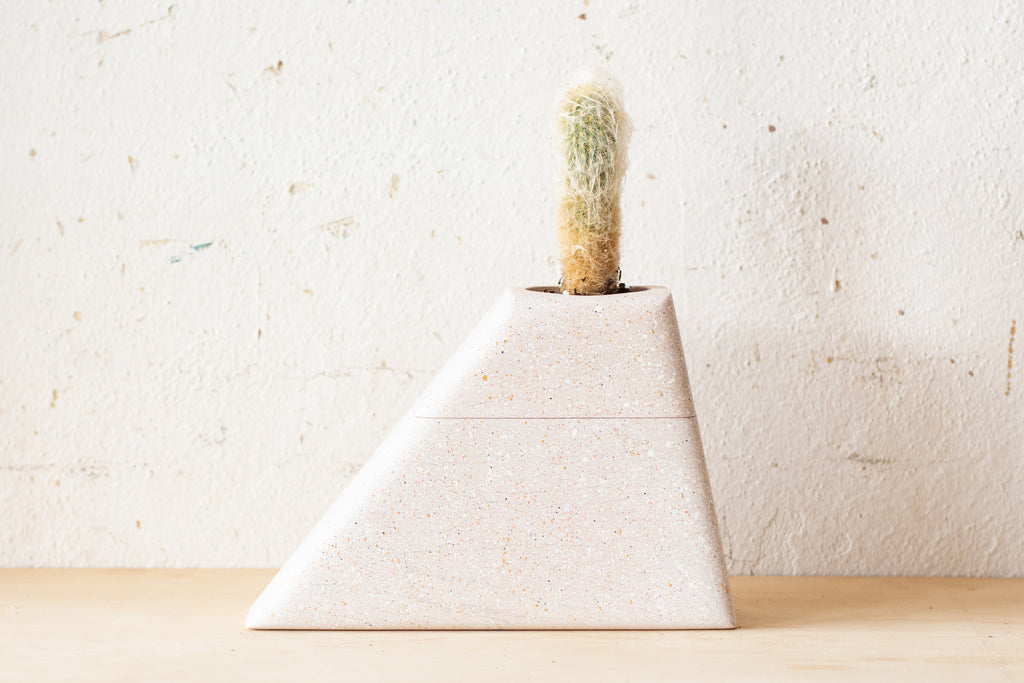 Medium Planturn Cremation Urn in Speckled Maple with a plant on top, modern and stylish for cremains storage.