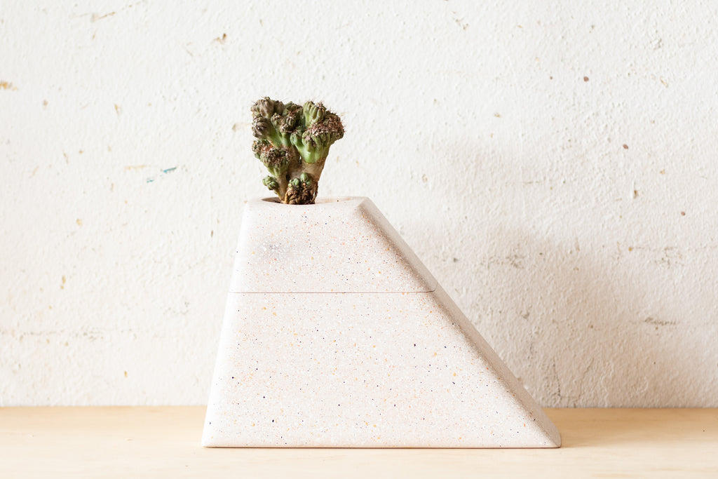 Medium Planturn Cremation Urn in Speckled Maple with a plant on top against a textured background.