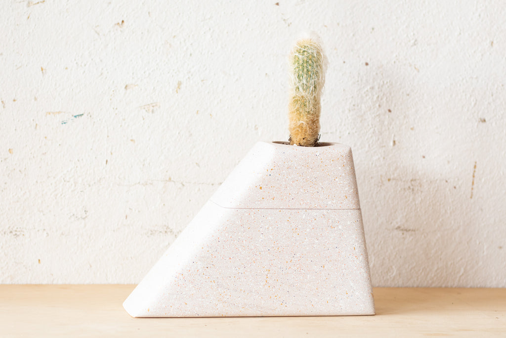 Medium Planturn Cremation Urn in Speckled Maple with a plant on top, suitable for pets and holding cremains.