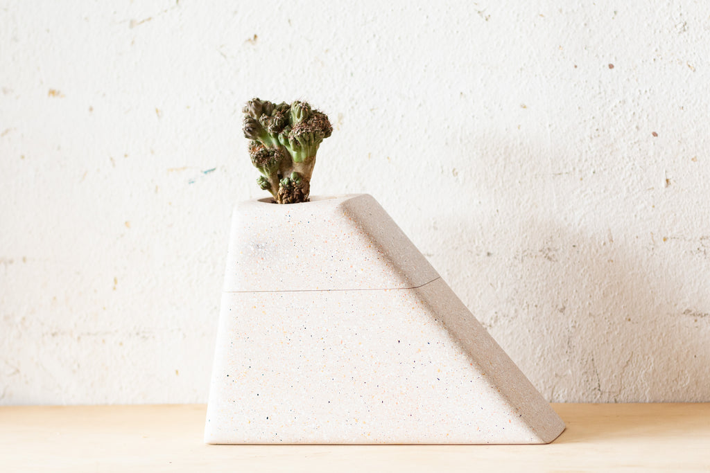 Medium Planturn Cremation Urn in Speckled Maple holding a plant atop its modern design.