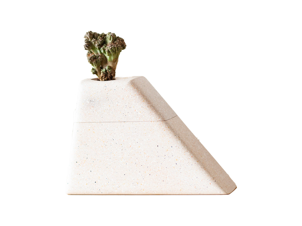 Medium Planturn Cremation Urn in Speckled Maple with a small plant on top, suitable for cremains.