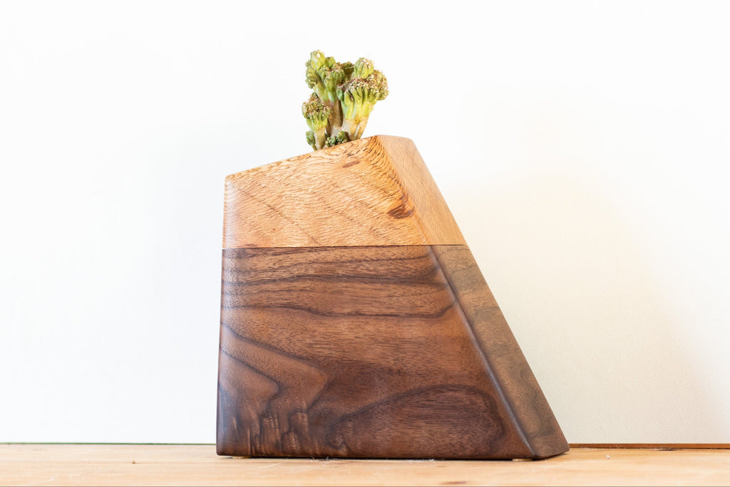 Handmade cremation urn crafted from rescued Live Oak and FSC-certified Walnut, featuring a modern geometric design with a recessed plant holder on top. Natural spalting in the Oak adds organic texture, creating a unique and living tribute.