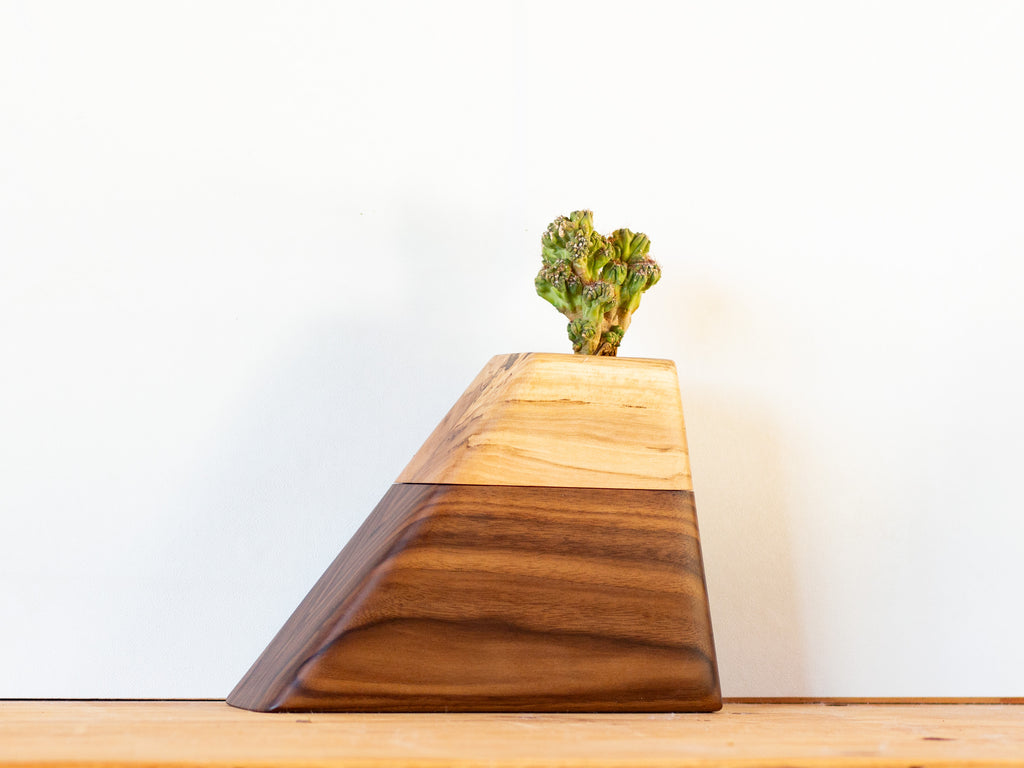 Right side view of a small handmade cremation urn with a dark Walnut base and pale Sweetgum top, featuring a modern geometric design and built-in plant holder. Smooth finish and contrasting grain make it a unique memorial piece for an infant, small pet, o