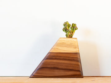 Small handmade cremation urn with a dark Walnut base and pale Sweetgum top, featuring a modern geometric design and built-in plant holder. Smooth finish and contrasting grain make it a unique memorial piece for an infant, small pet, or shared ashes.