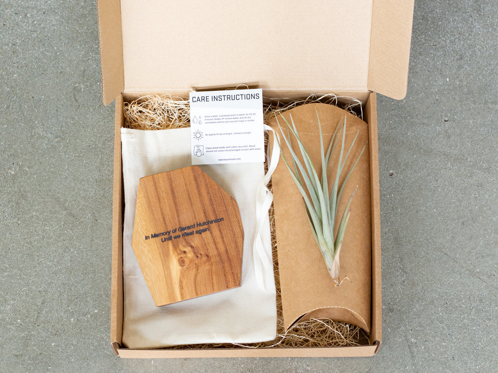 "Unboxing handmade sympathy gift – personalized wood air plant holder with live Tillandsia and care instructions"