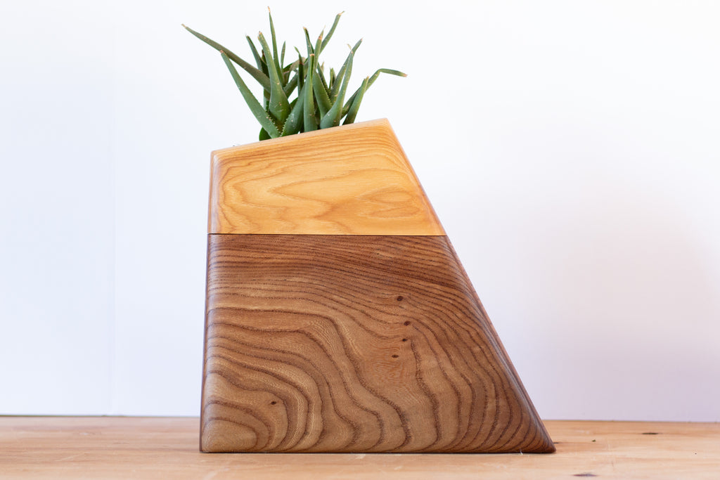 Large Planturn in California Elm & Hickory with a succulent plant, showcasing its unique handcrafted design.