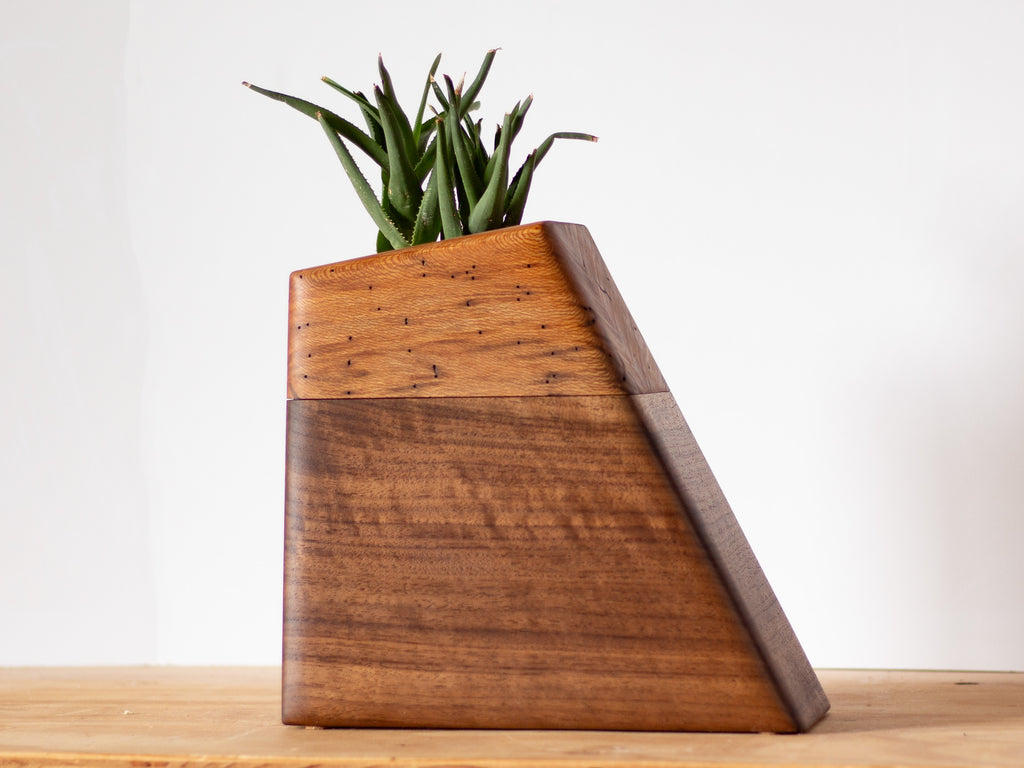 Wooden cremation urn in walnut and California sycamore with a living plant on top, showcasing its unique design.