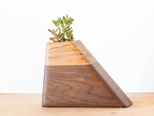 Cremation Urn in Walnut & California Sweetgum | Medium Size with plant, modern design and rich wood grain.