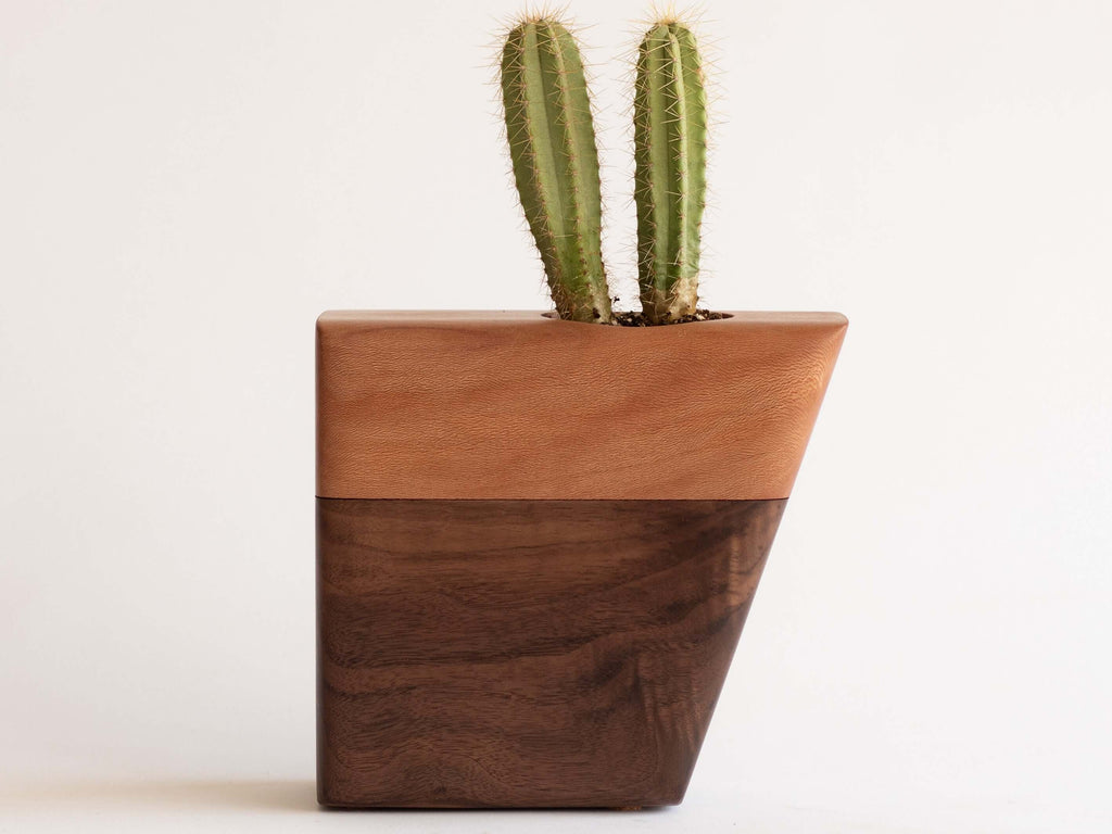 Small Planturn Cremation Urn in Walnut & Sycamore with cactus plant on top, modern wooden design.