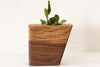 Small Planturn™ Cremation Urn in Walnut & Elm - Boyce Studio | Cremation Urn for ashes | Cremation Urns | Cremation Urn for Adult